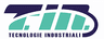 TIN