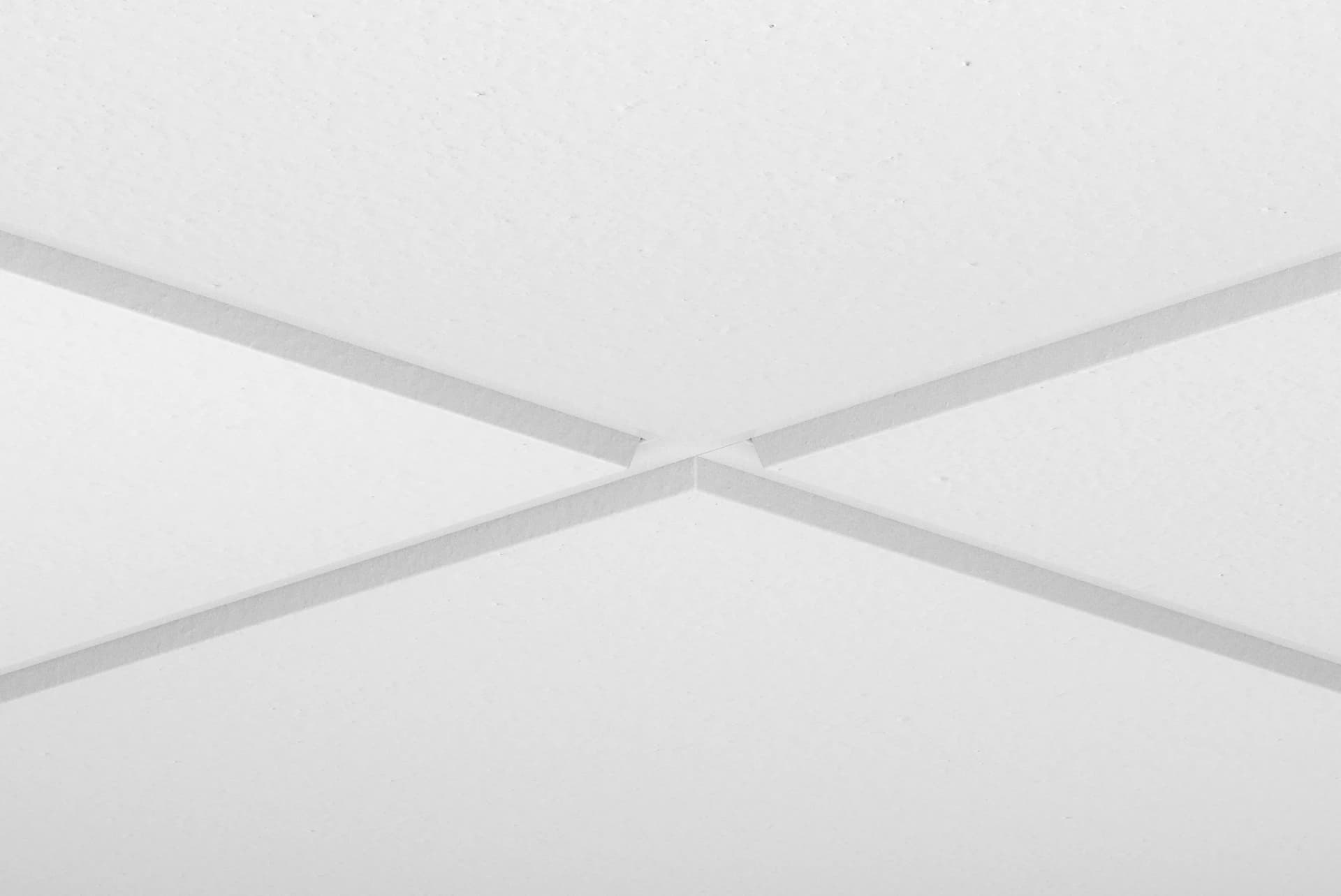 PLAIN 15mm — 2