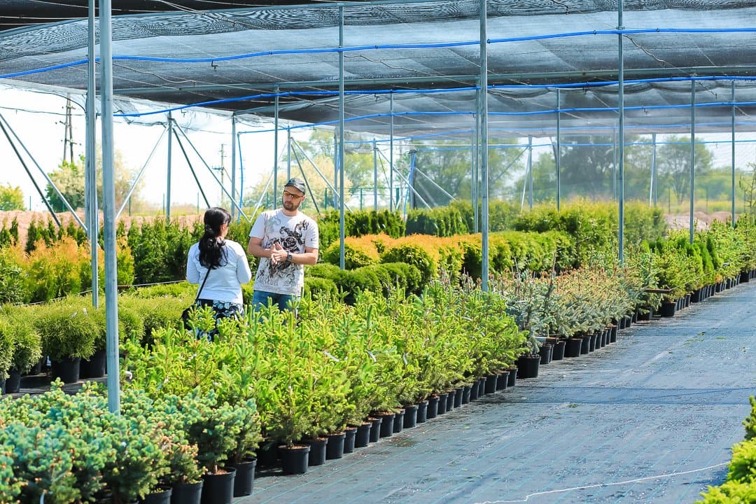 Садовый центр “Лукоморье” 