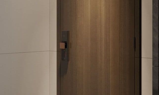 Электрозамки и IP-домофония с Face ID