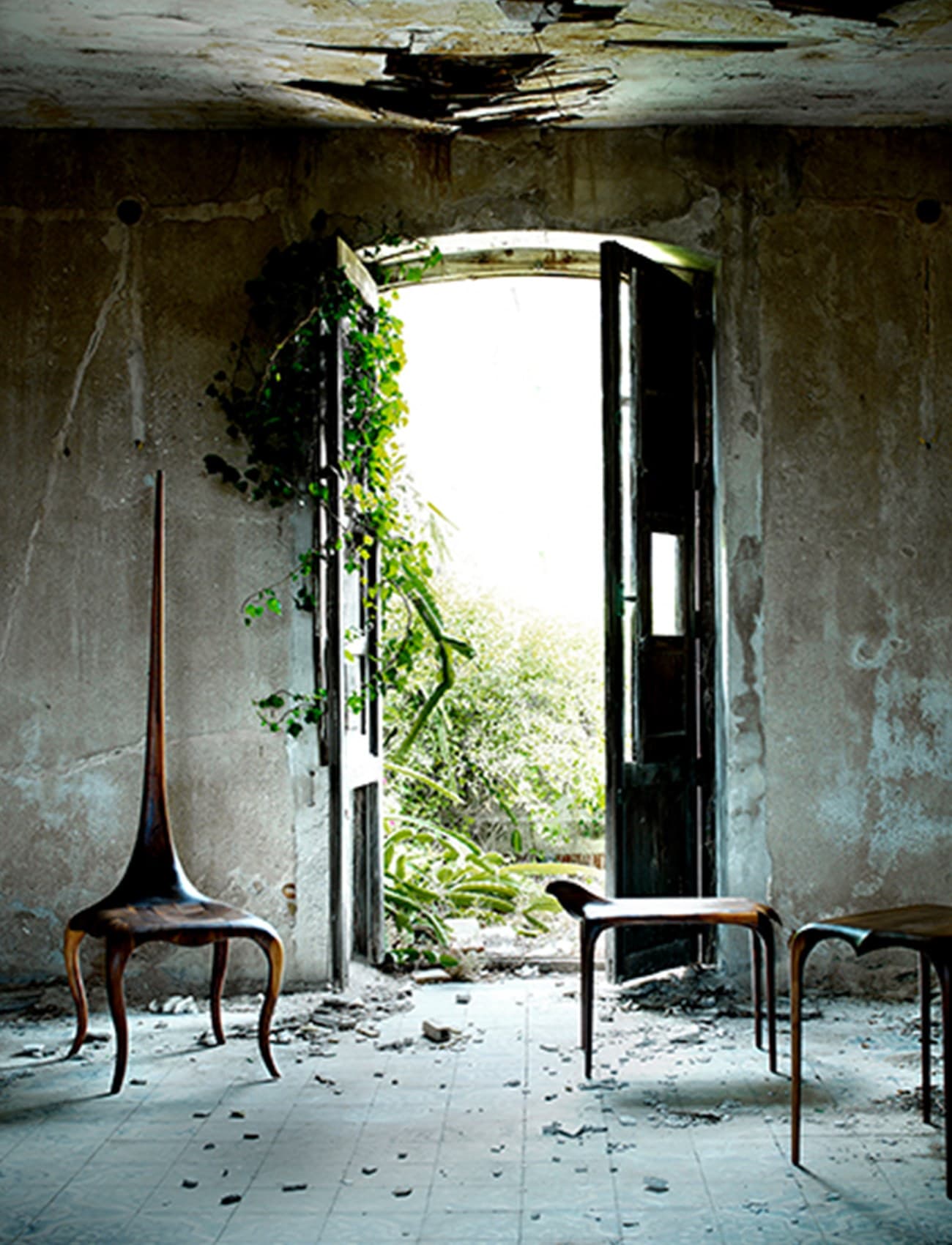 Agrippa
LADY STING
Walnut chair — 4