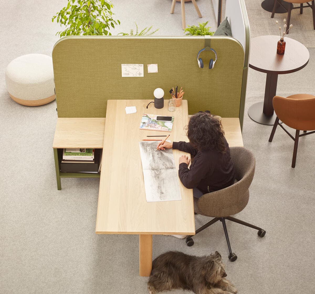 Alki
ZUZULU
Office booth — 25