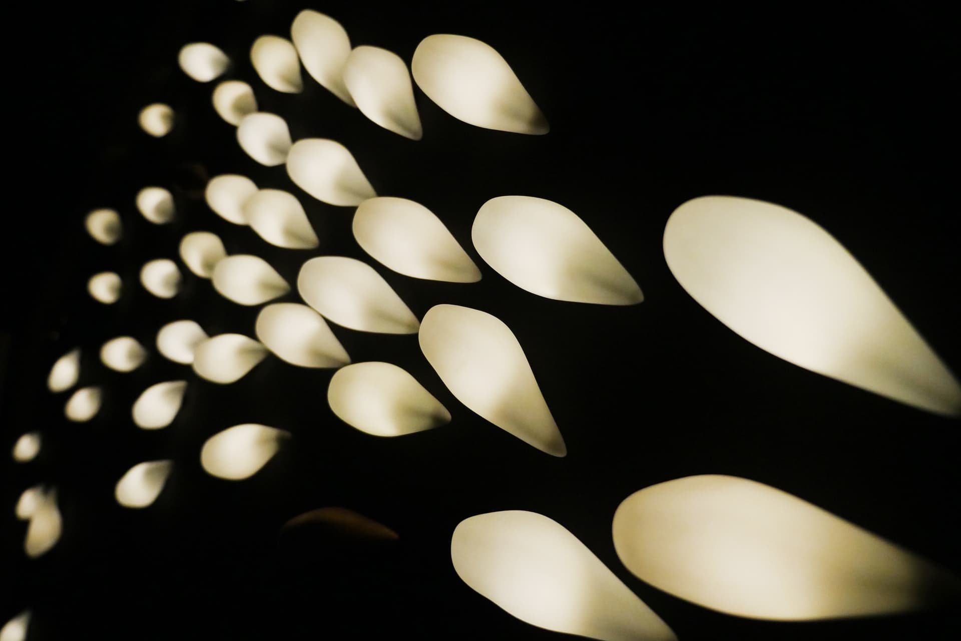 Beau & Bien
BIRDIE
LED wall lamp — 4