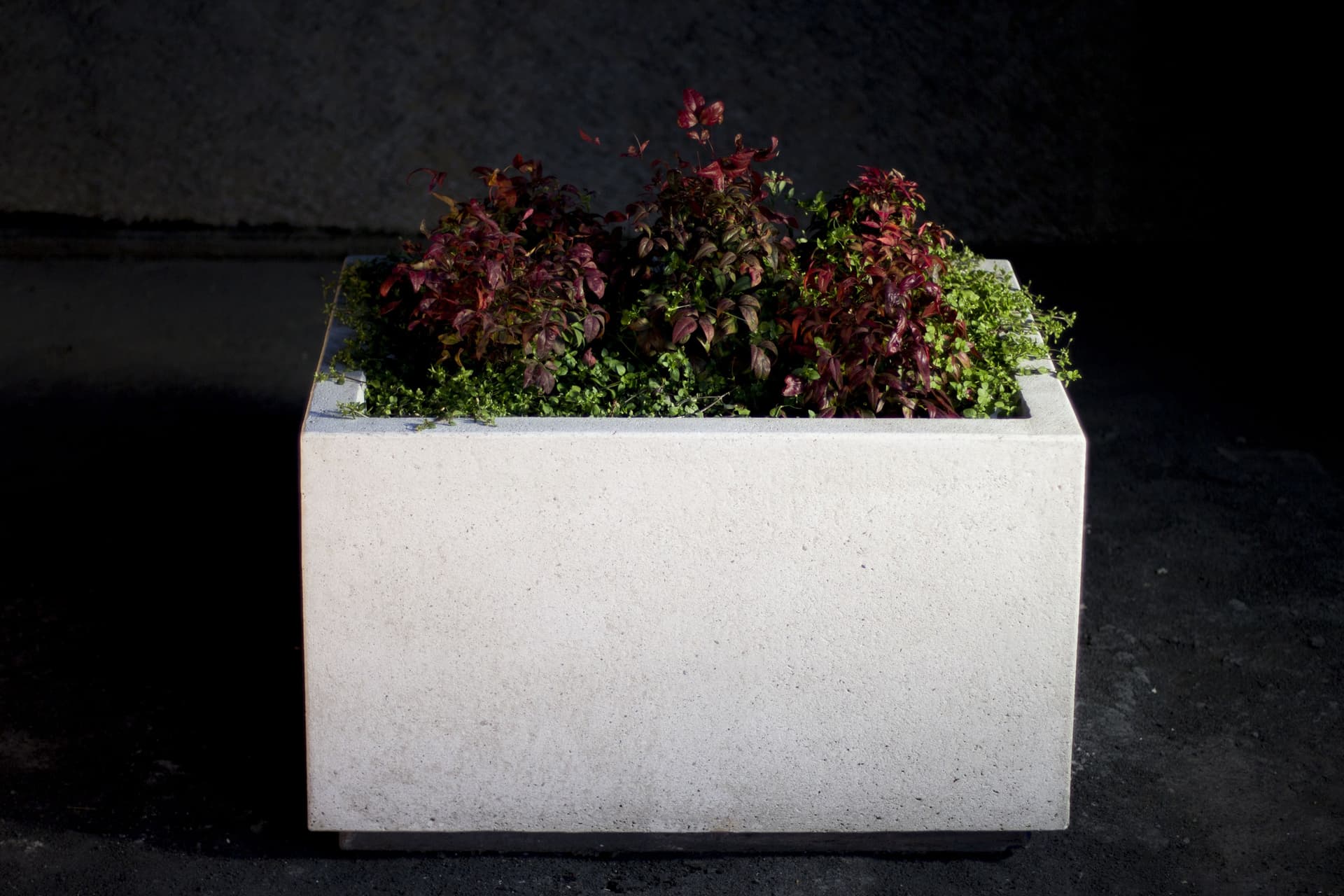 Bellitalia
LOUNGE LOW
Flower pot — 3