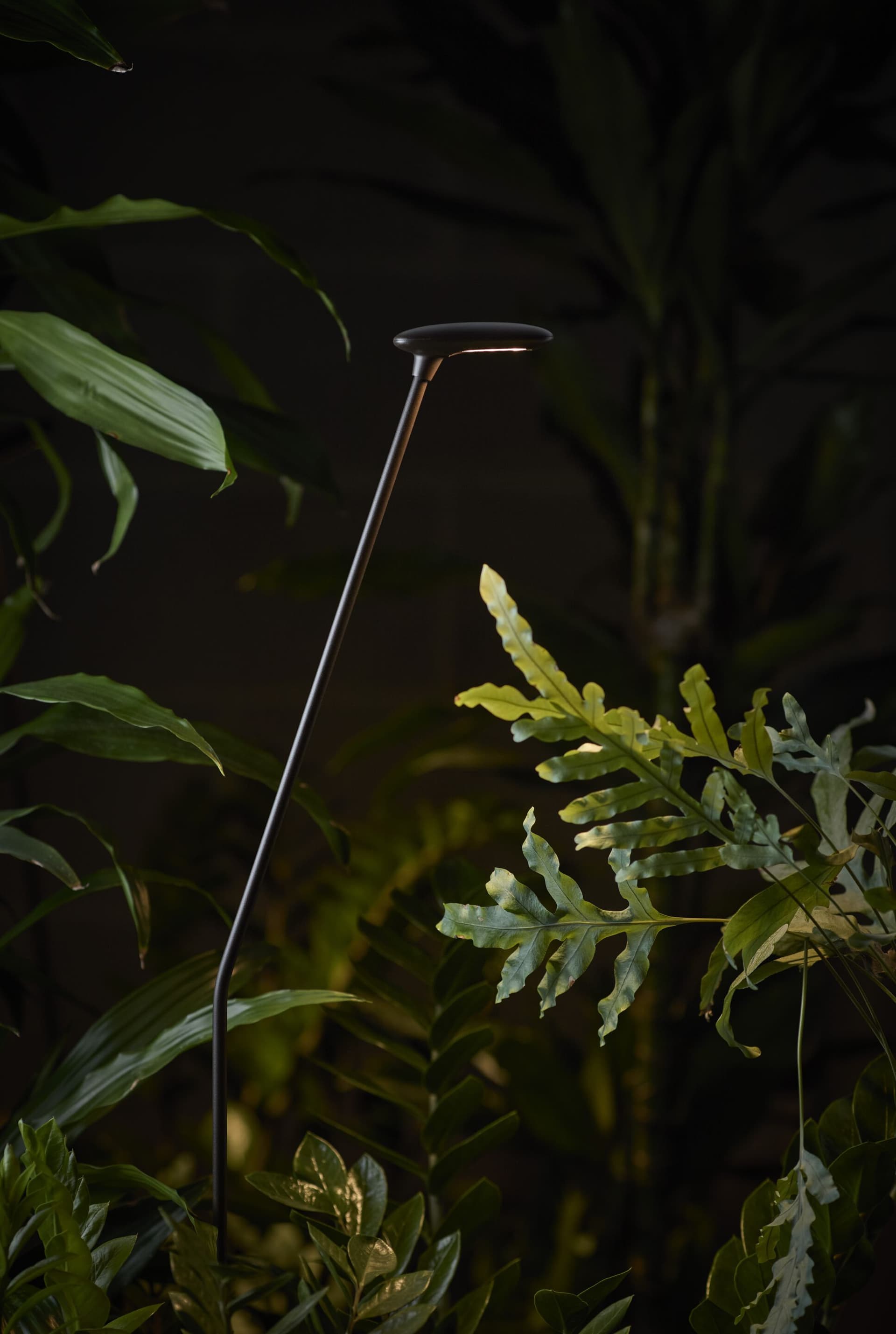 Bover
BIRDIE
LED bollard light — 3