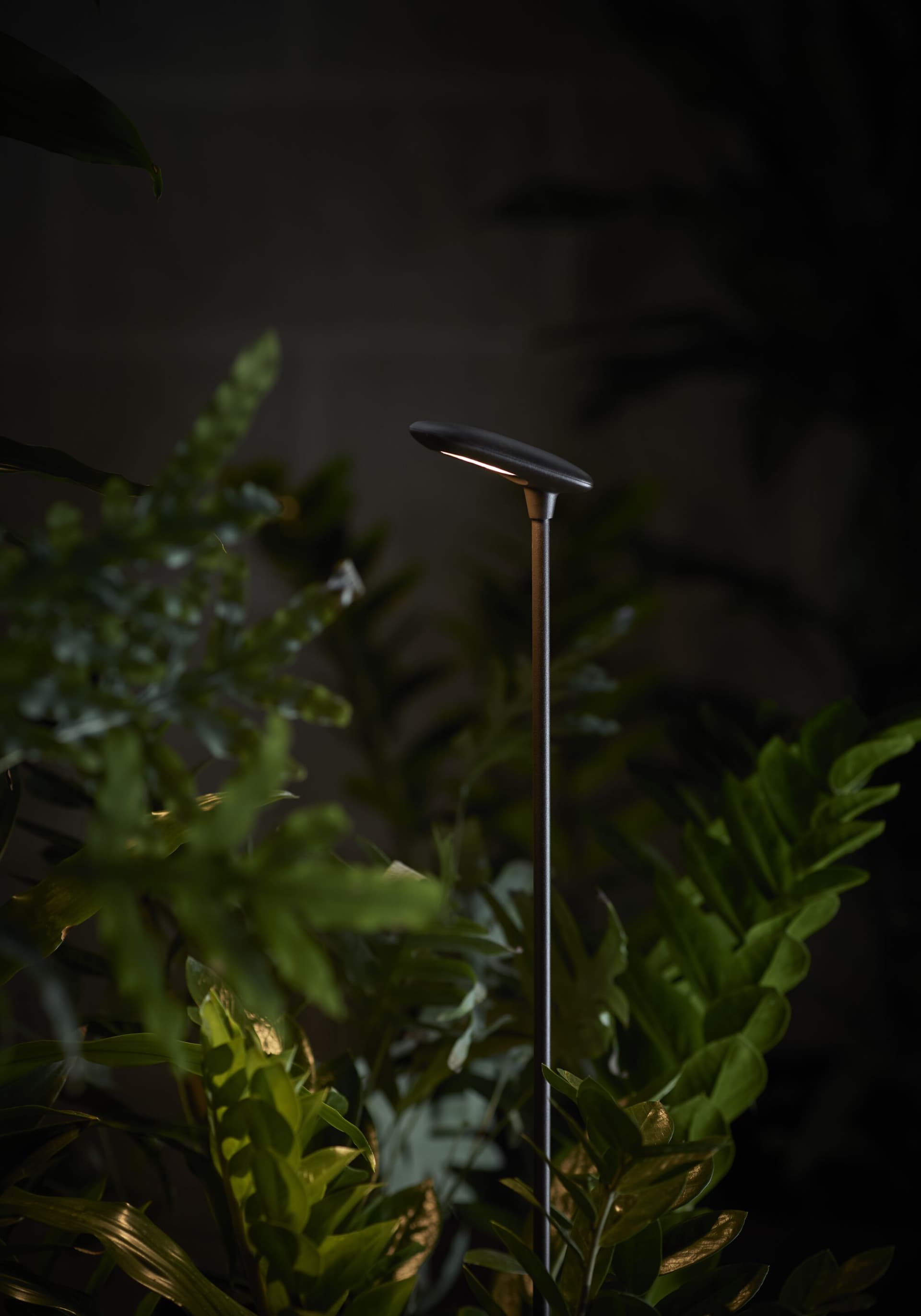 Bover
BIRDIE
LED bollard light — 4