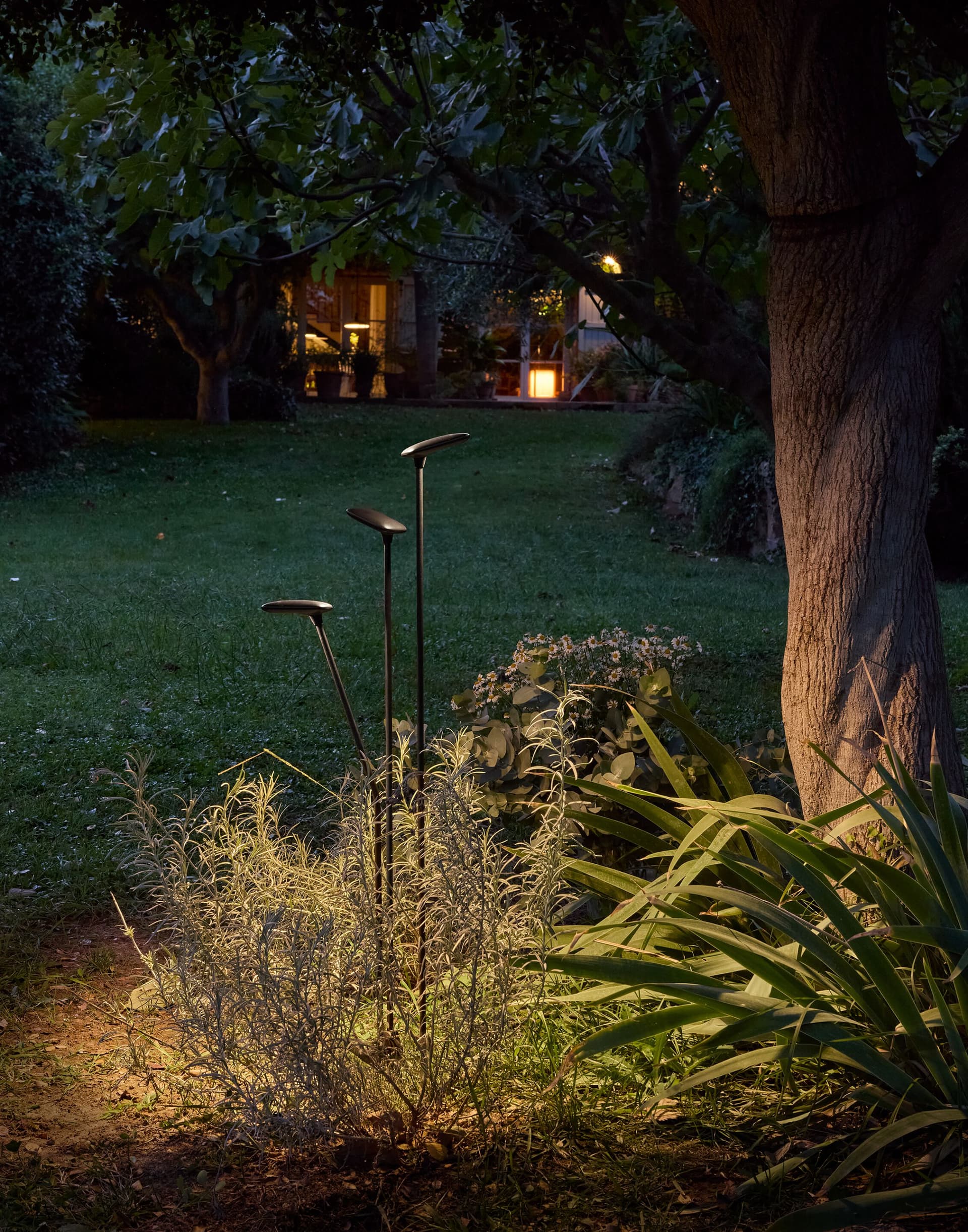 Bover
BIRDIE
LED bollard light — 5