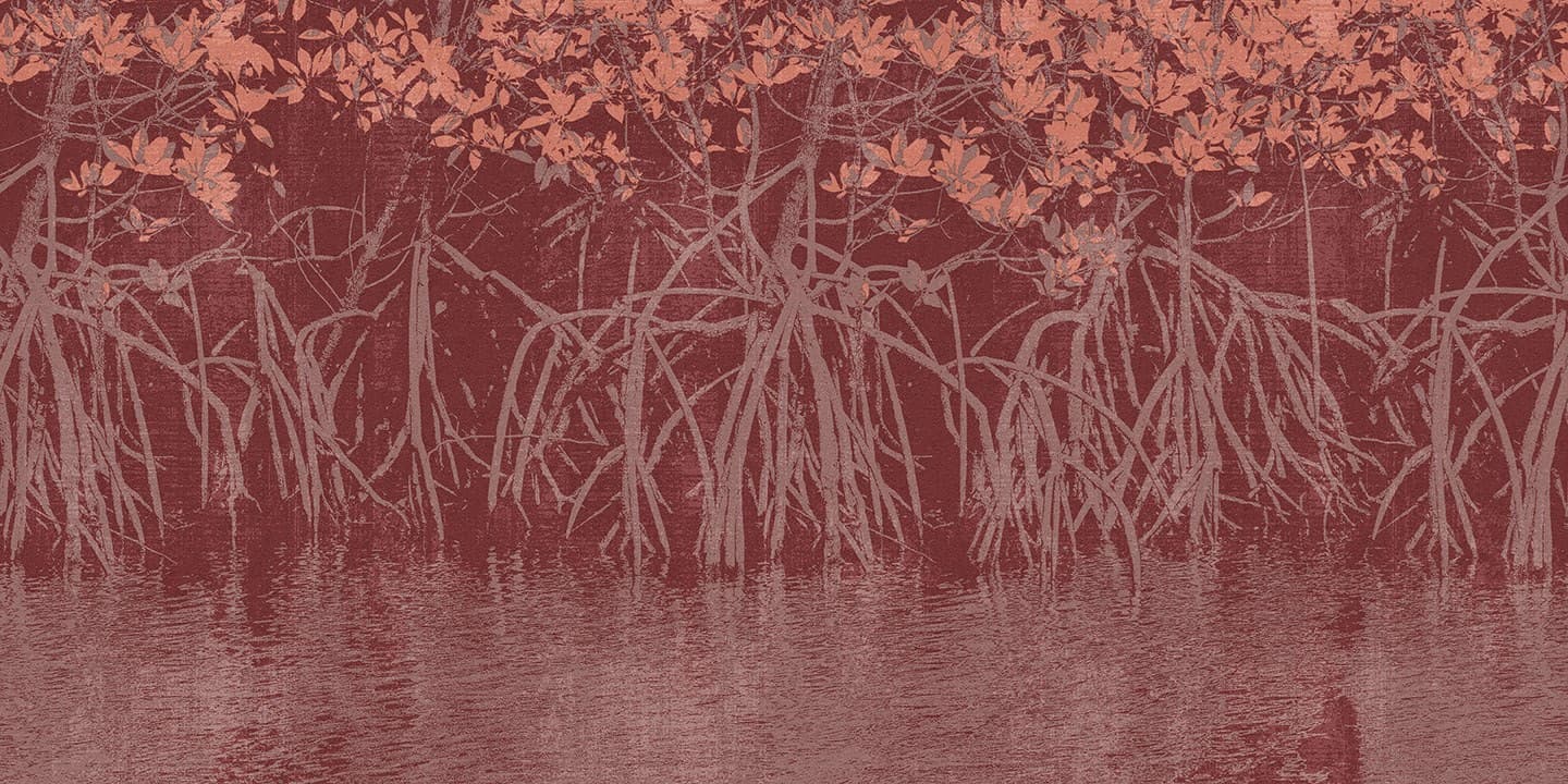 Cerasa
BAYOU
Wallpaper — 3