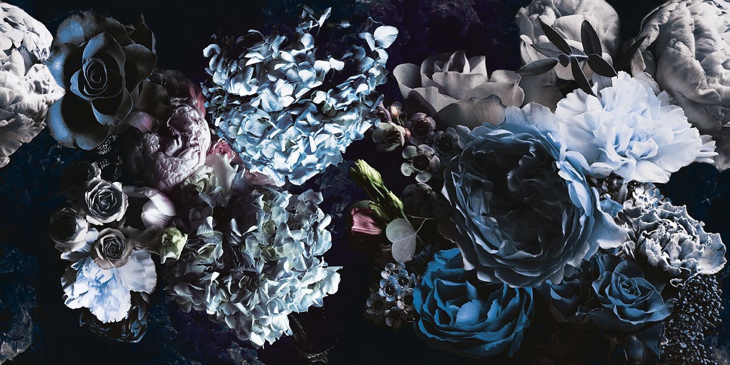 Cerasa
BLOSSOM
Wallpaper — 3