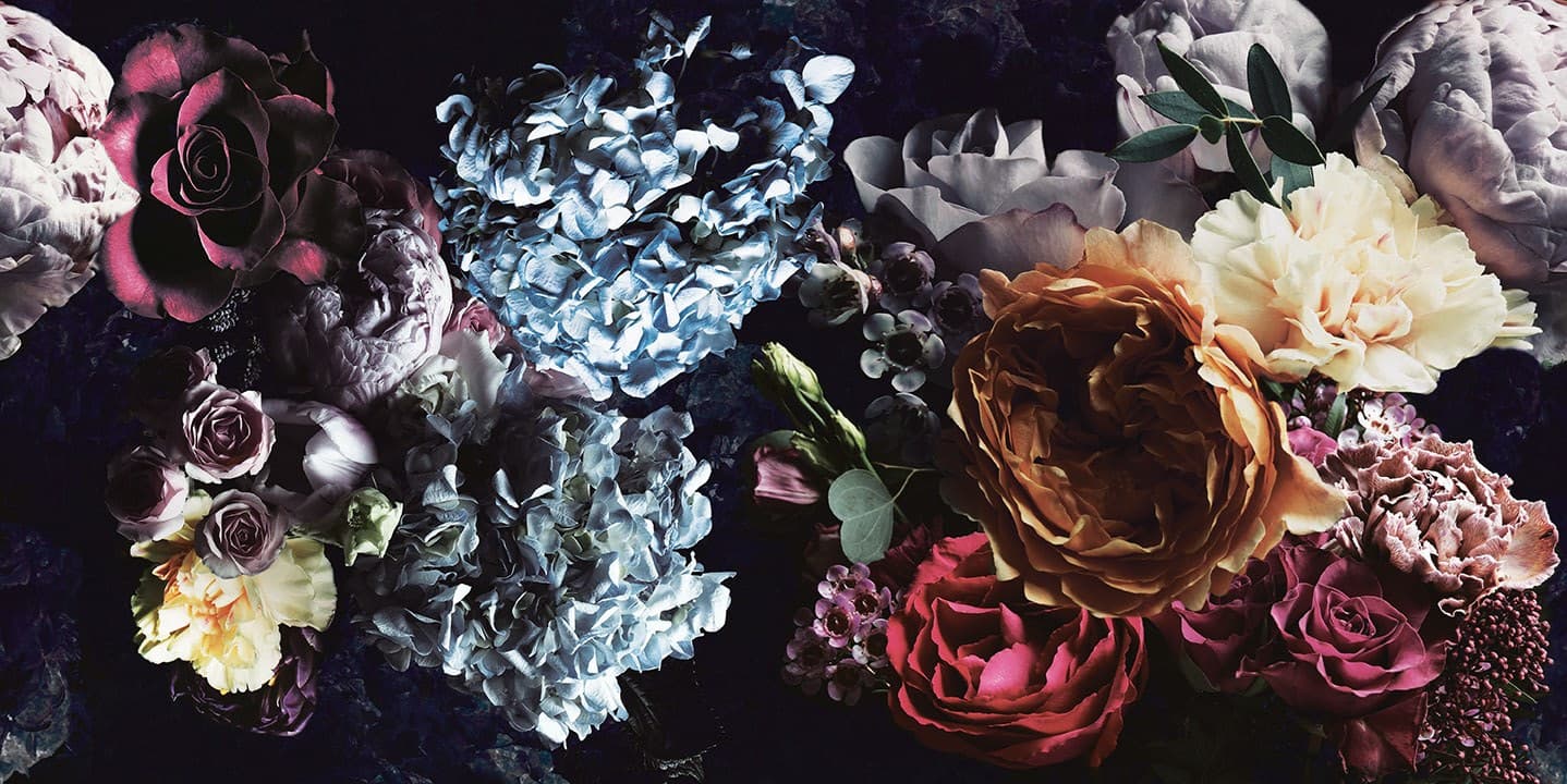 Cerasa
BLOSSOM
Wallpaper — 4