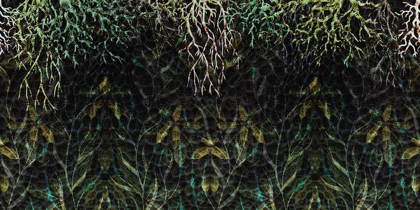 Cerasa
CORAL
Wallpaper — 4