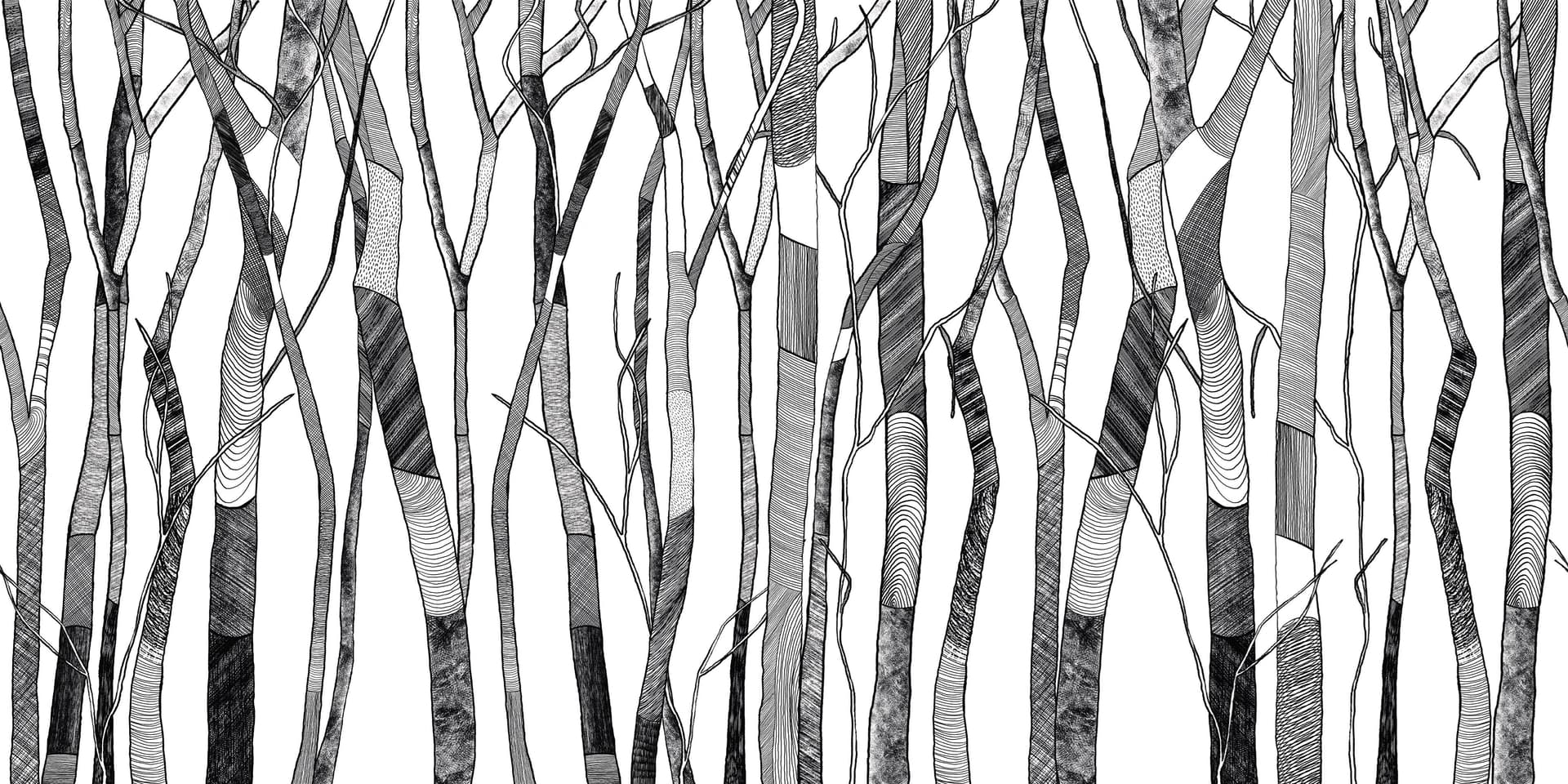Cerasa
GRAPHITE
Wallpaper — 4