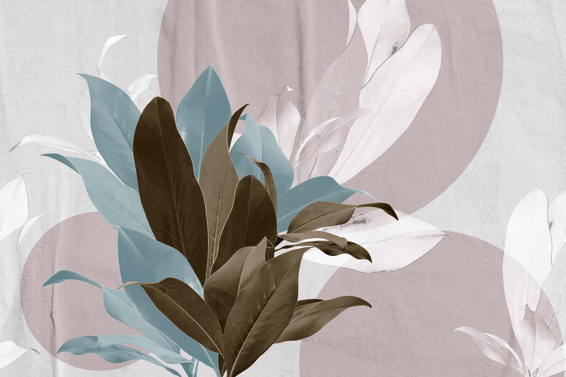 Cerasa
MAGNOL
Wallpaper — 3