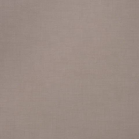 Cleaf
ALPACA
Texture — 5