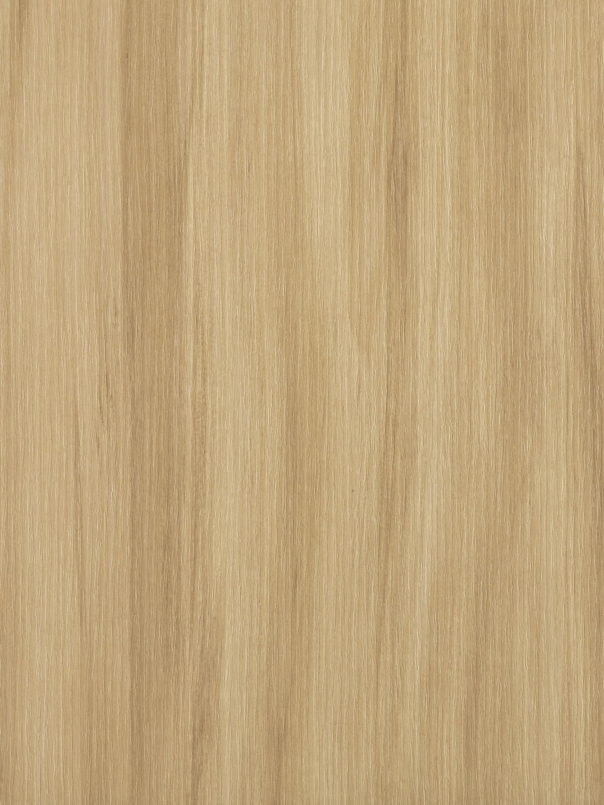 Cleaf
CEPPO
Texture — 4