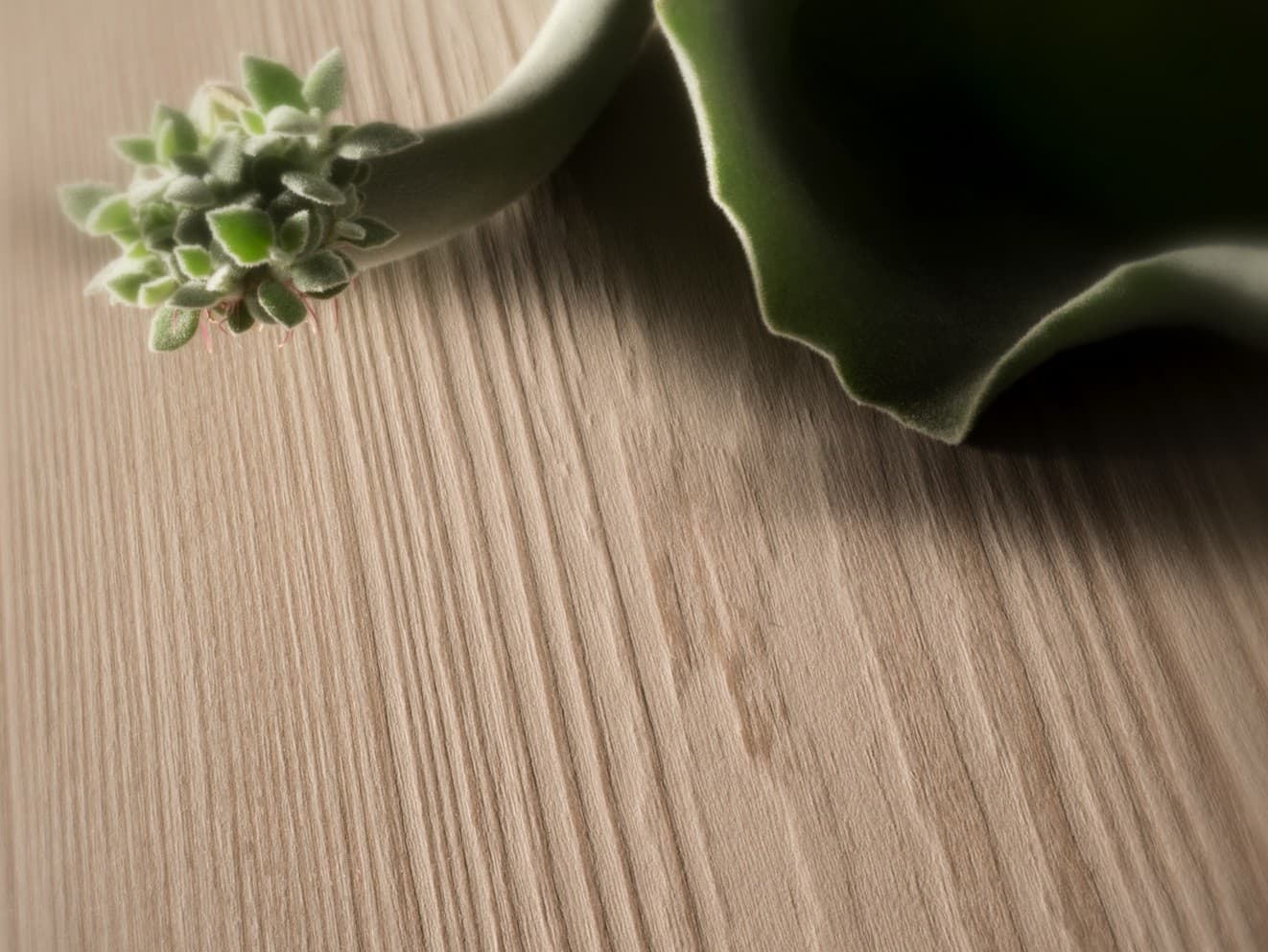 Cleaf
ESPERIA
Texture — 1