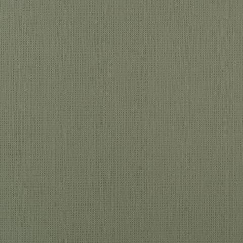 Cleaf
NADIR
Texture — 118