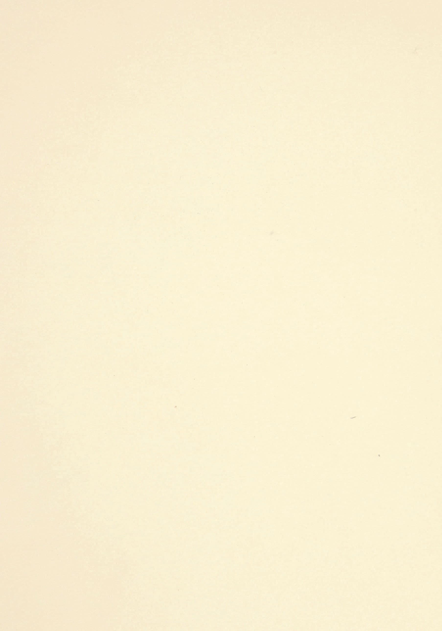 Cleaf
OPACO
Texture — 5