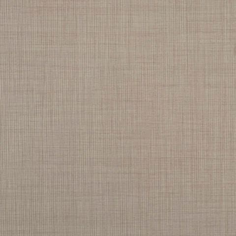 Cleaf
PAGLIA
Texture — 16