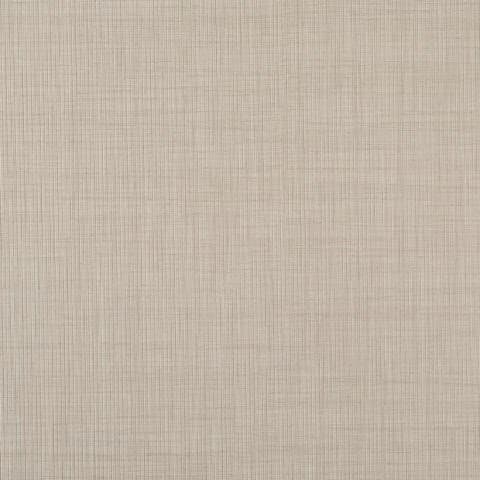 Cleaf
PAGLIA
Texture — 17