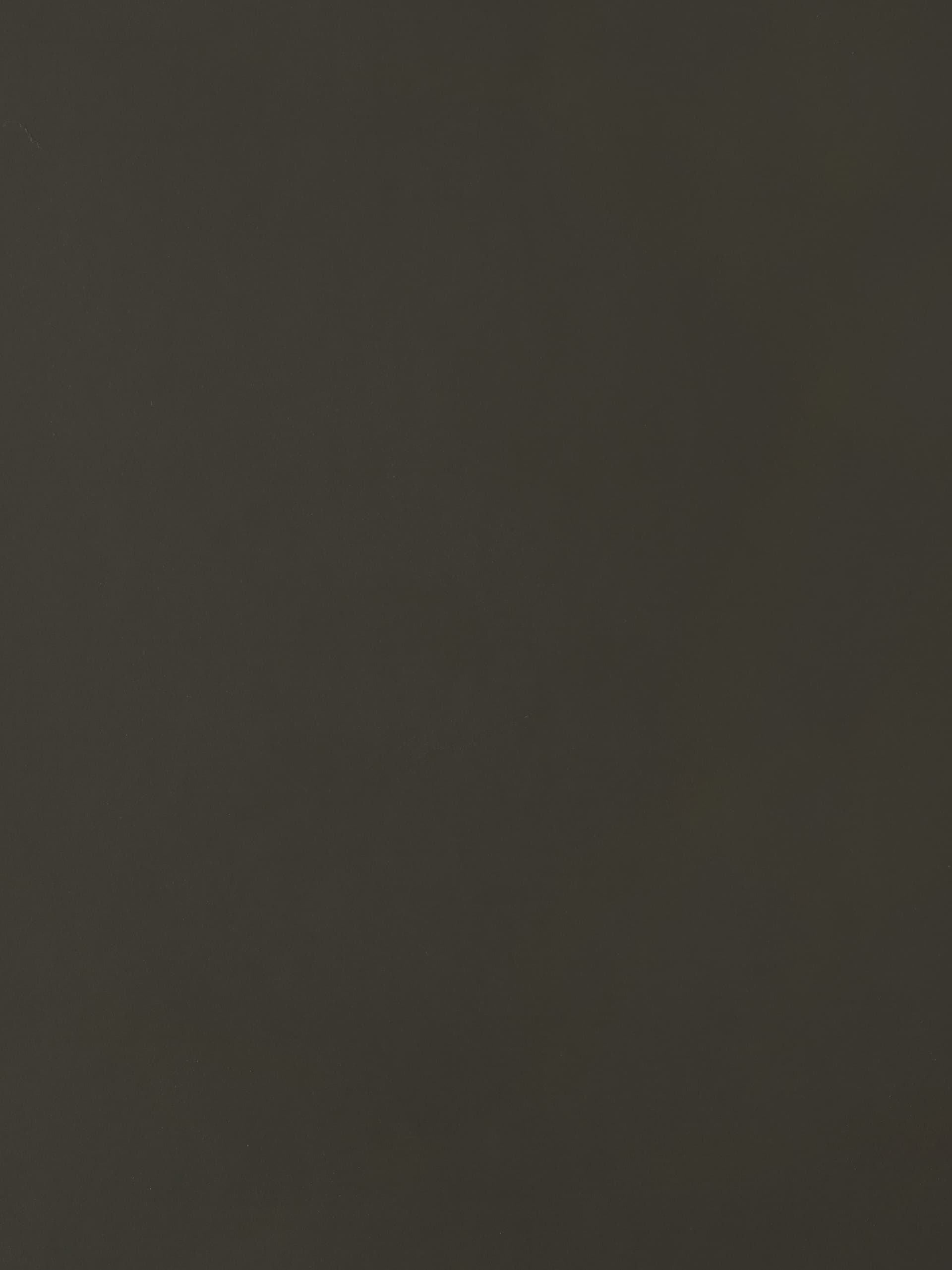 Cleaf
SETA
Texture — 5