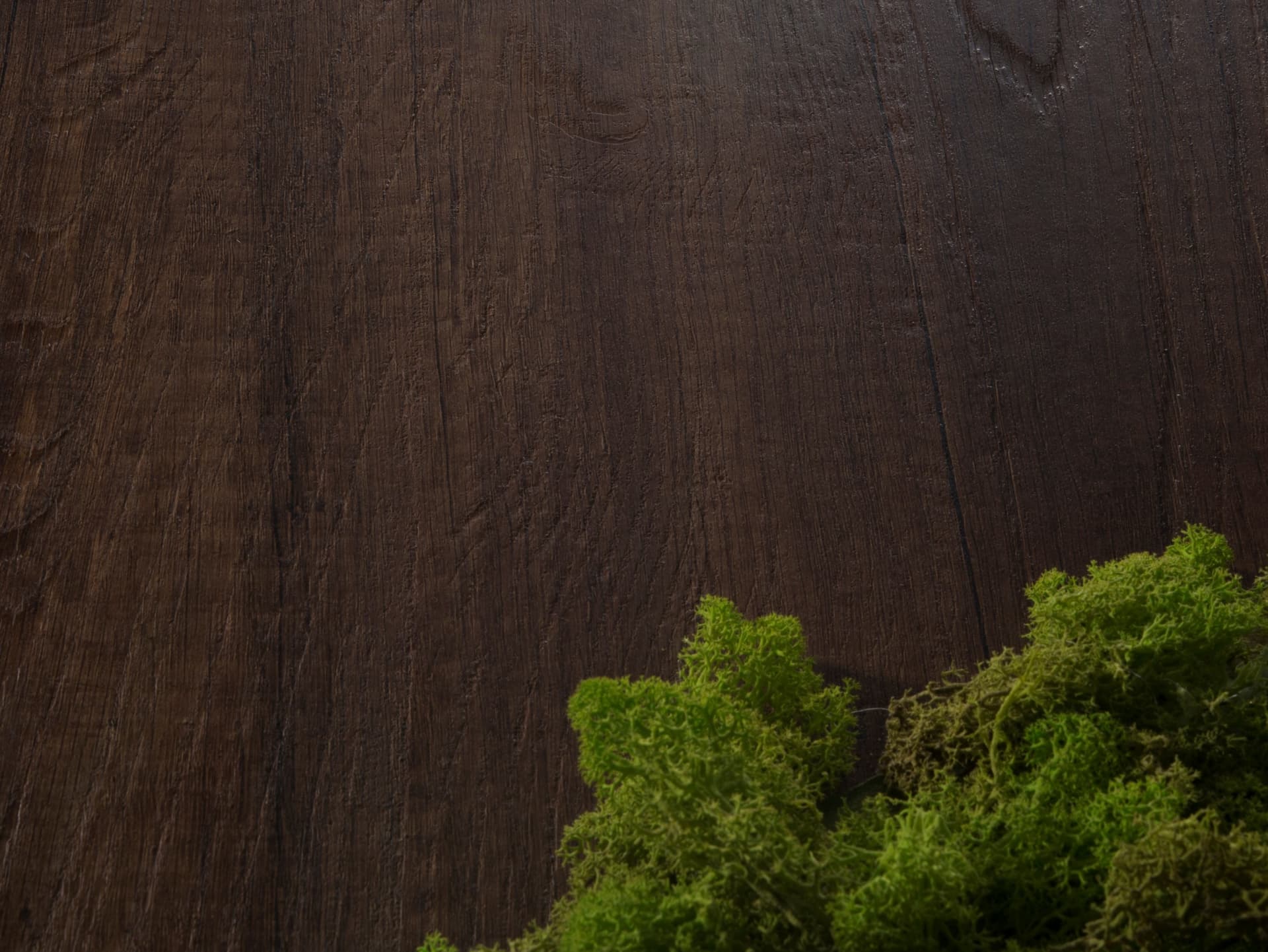 Cleaf
SHERWOOD
Texture — 1