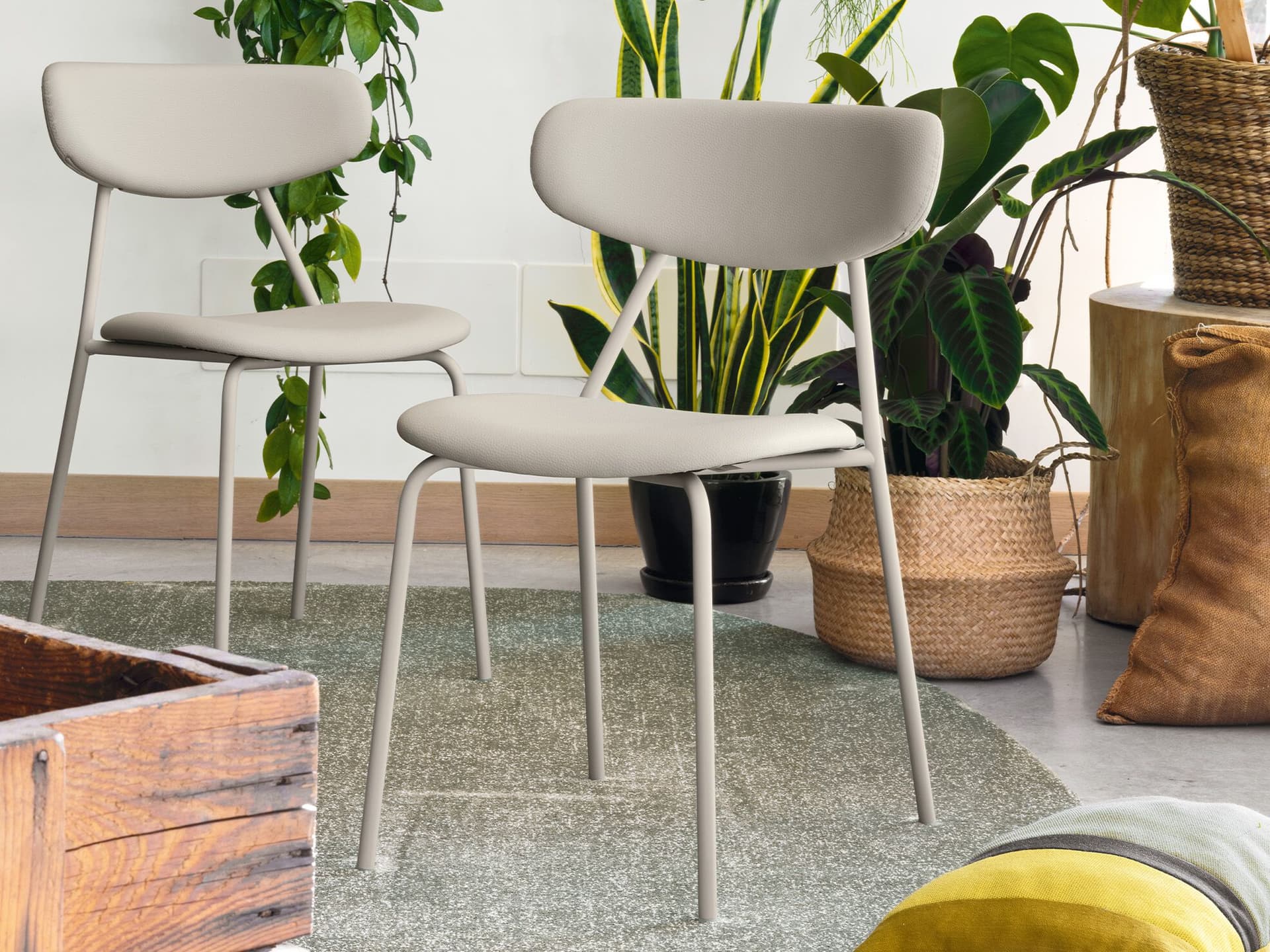 Connubia
LISCA
Fabric chair — 3