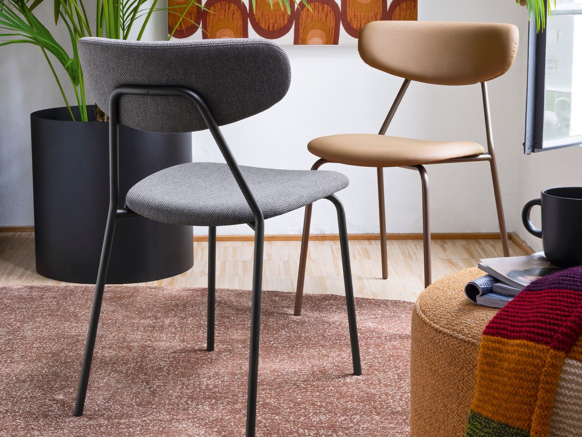 Connubia
LISCA
Fabric chair — 4