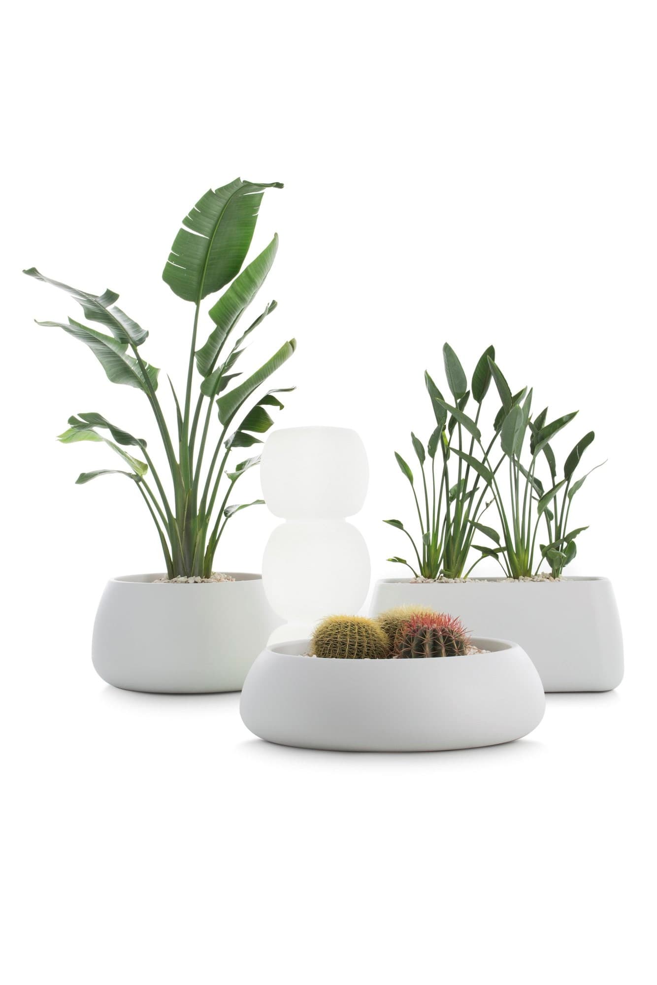 Diabla
GOBI 2
High garden vase — 6