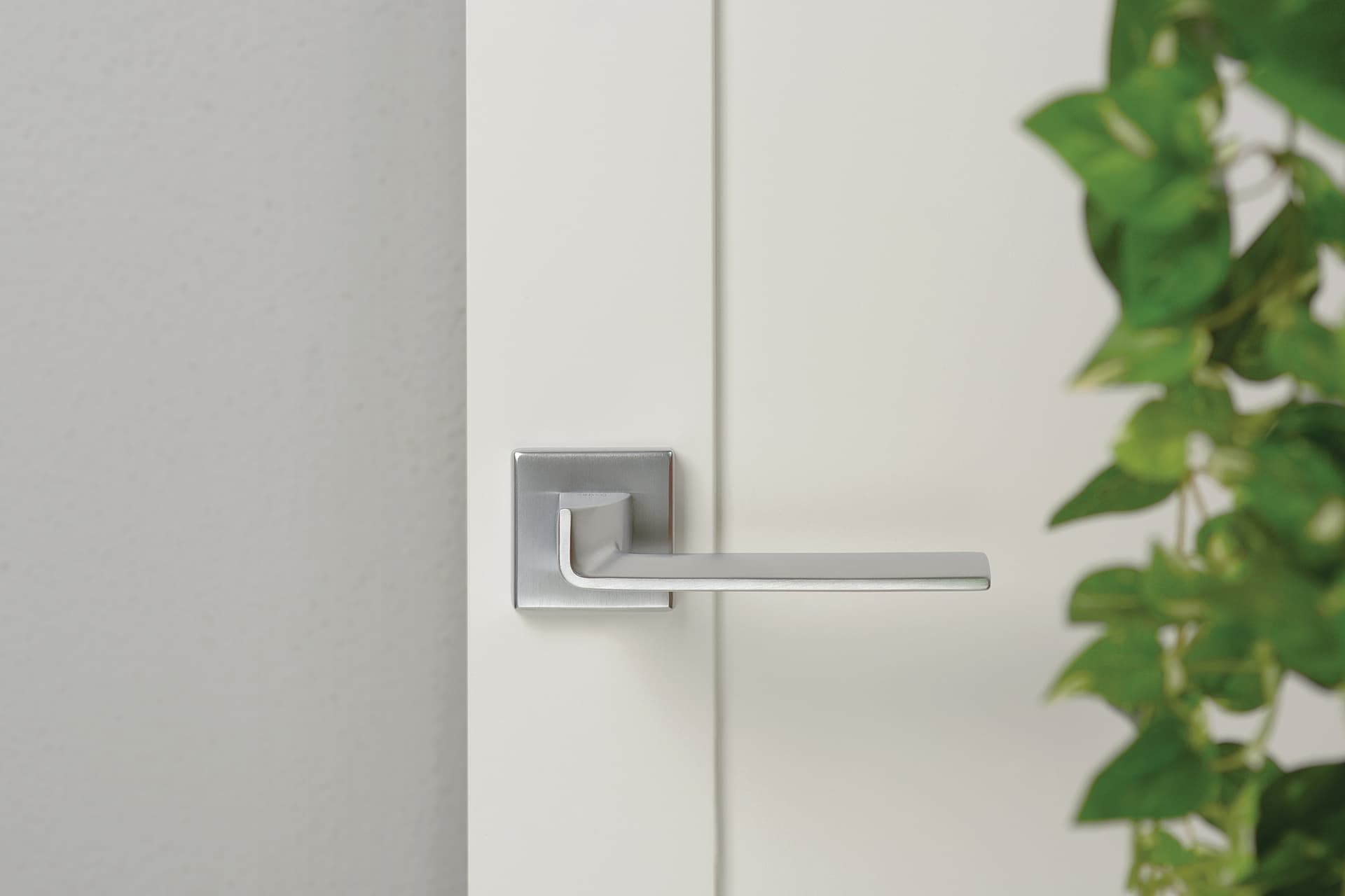 Ento
EDGE SQ
Door handle on rose — 3