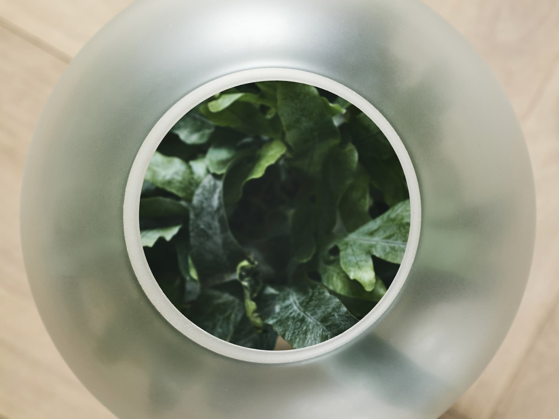 Gejst
NEBL
Frosted glass vase — 3
