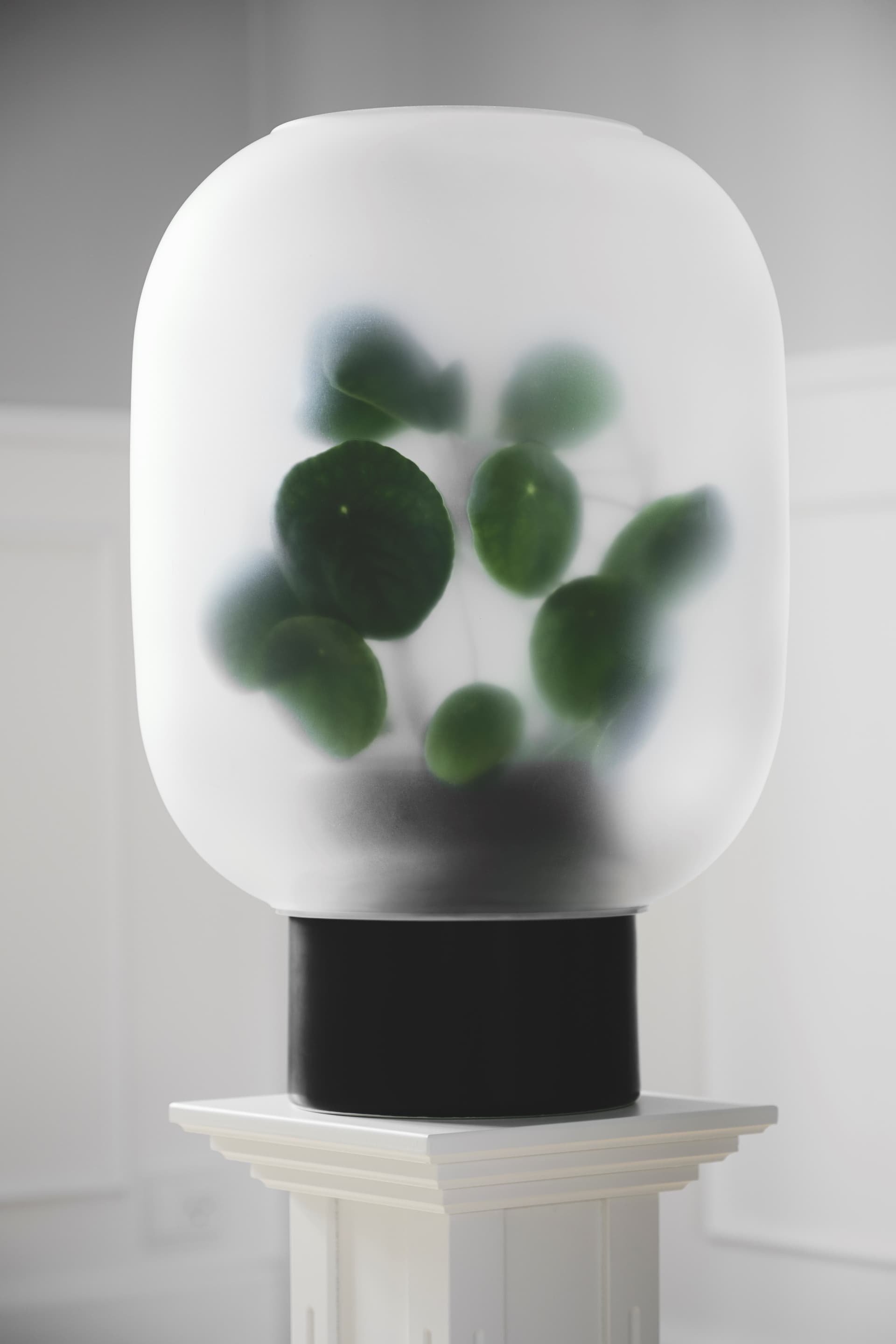 Gejst
NEBL
Frosted glass vase — 5