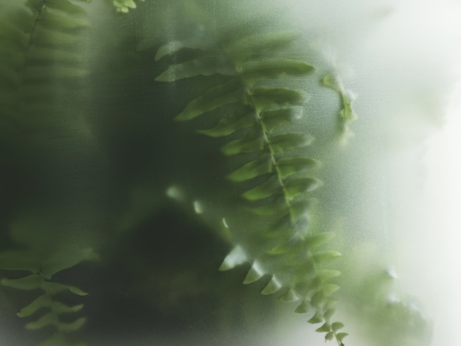 Gejst
NEBL
Frosted glass vase — 9