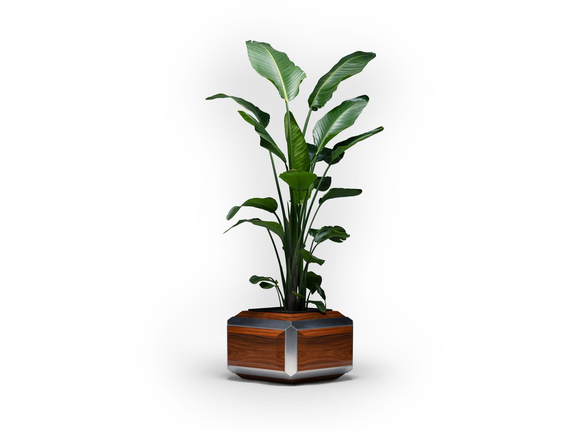 Hervet
HUMUX
Planter — 1