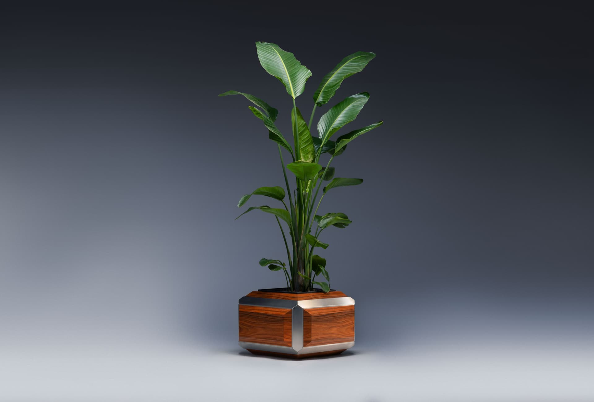 Hervet
HUMUX
Planter