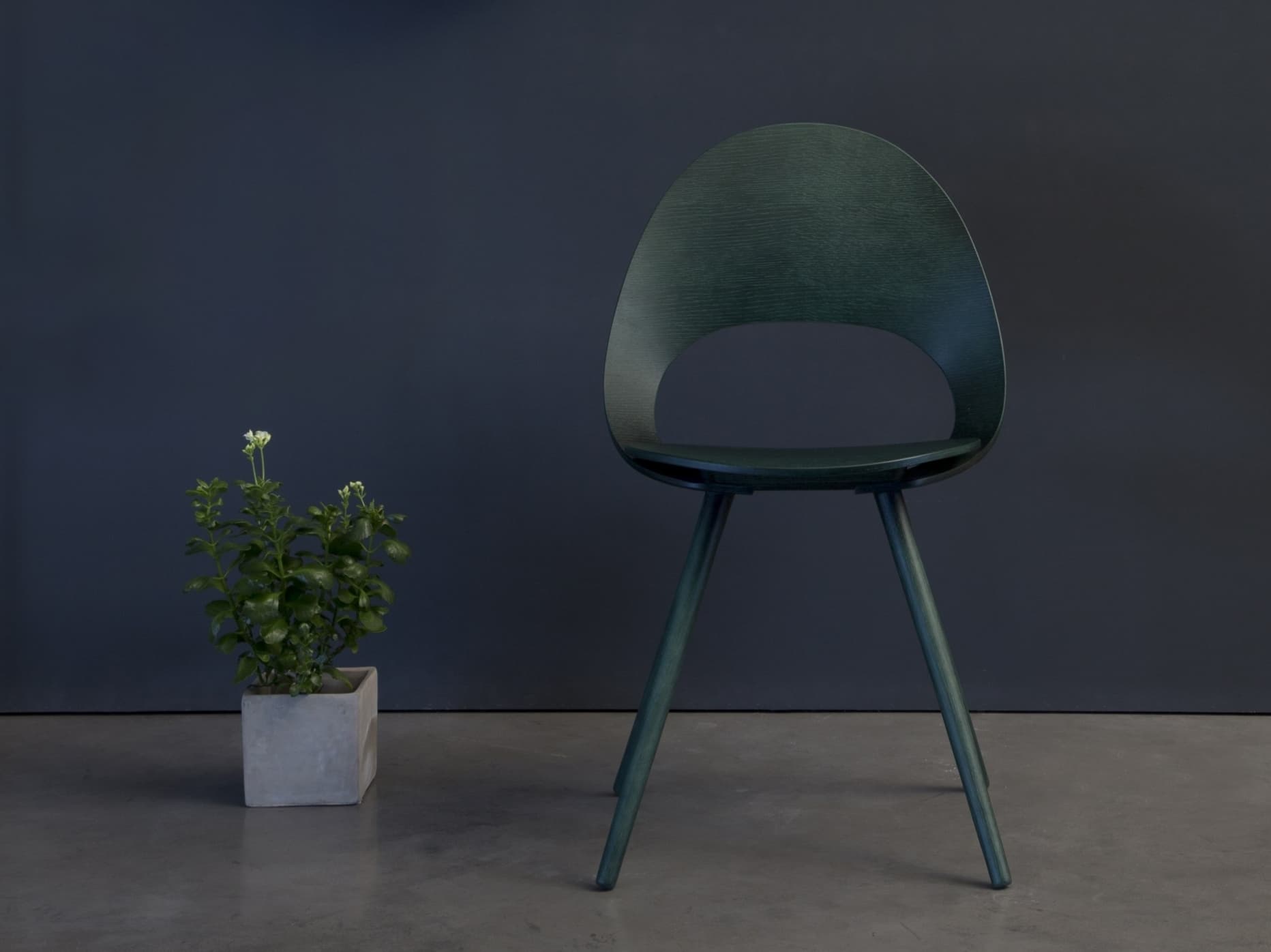 Inno
ONO
Wooden chair — 10