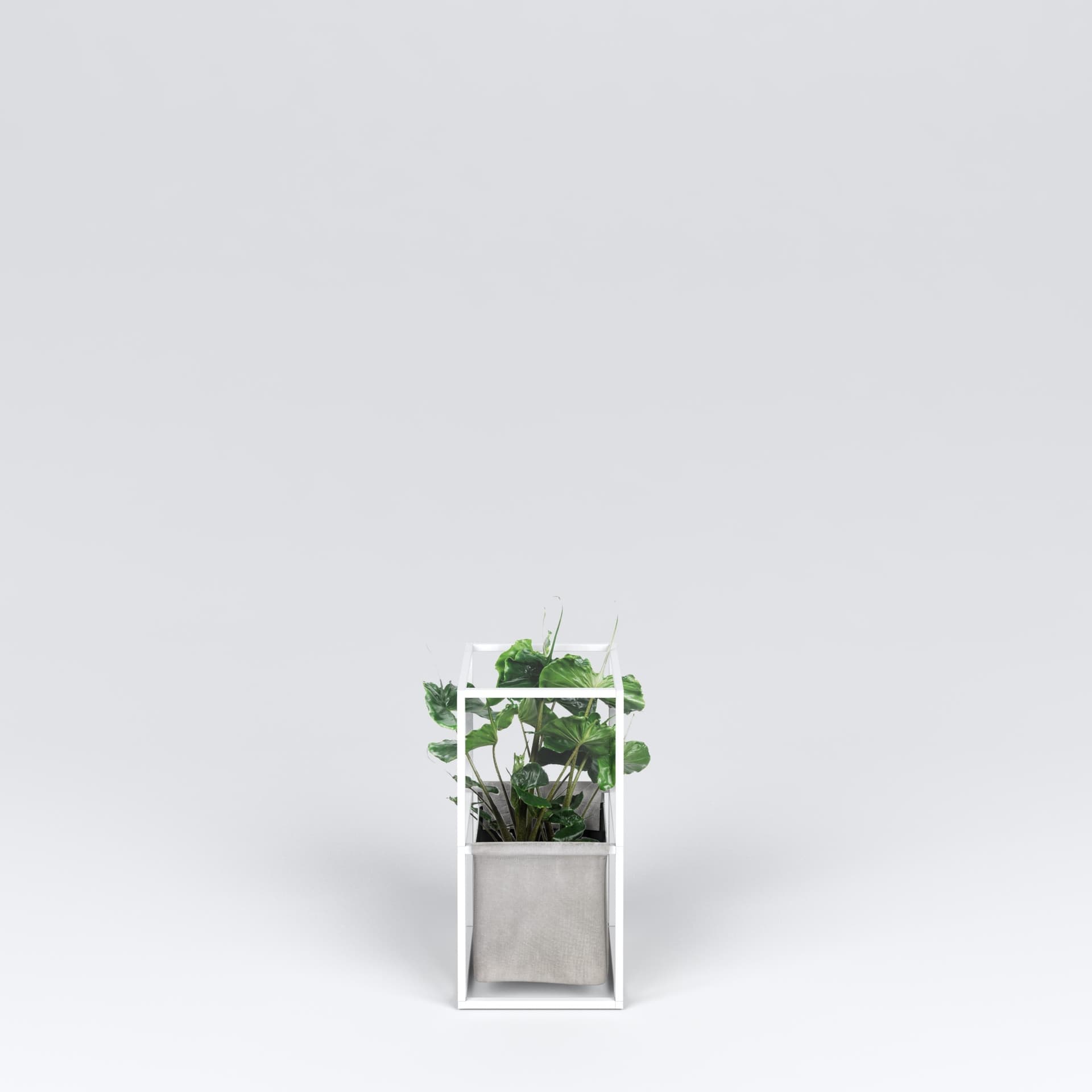 iPot
IPOT 2X
Plant pot — 6