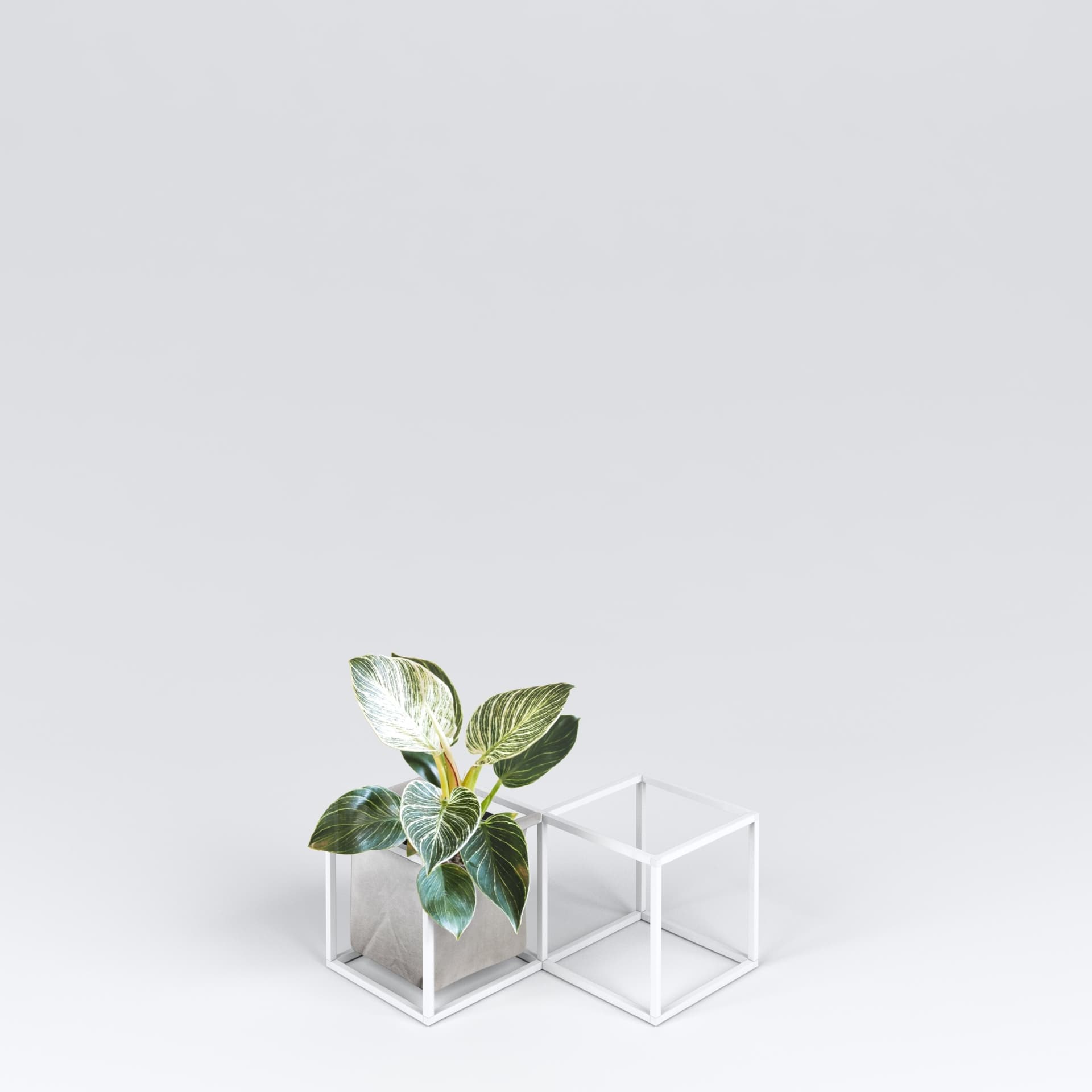 iPot
IPOT 2X
Plant pot — 10
