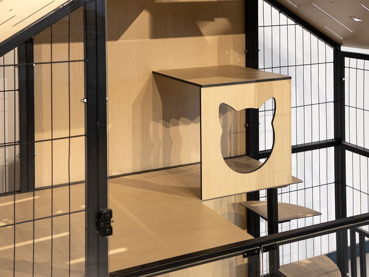 MaxForm
KIT CAT F3
Cat house — 3