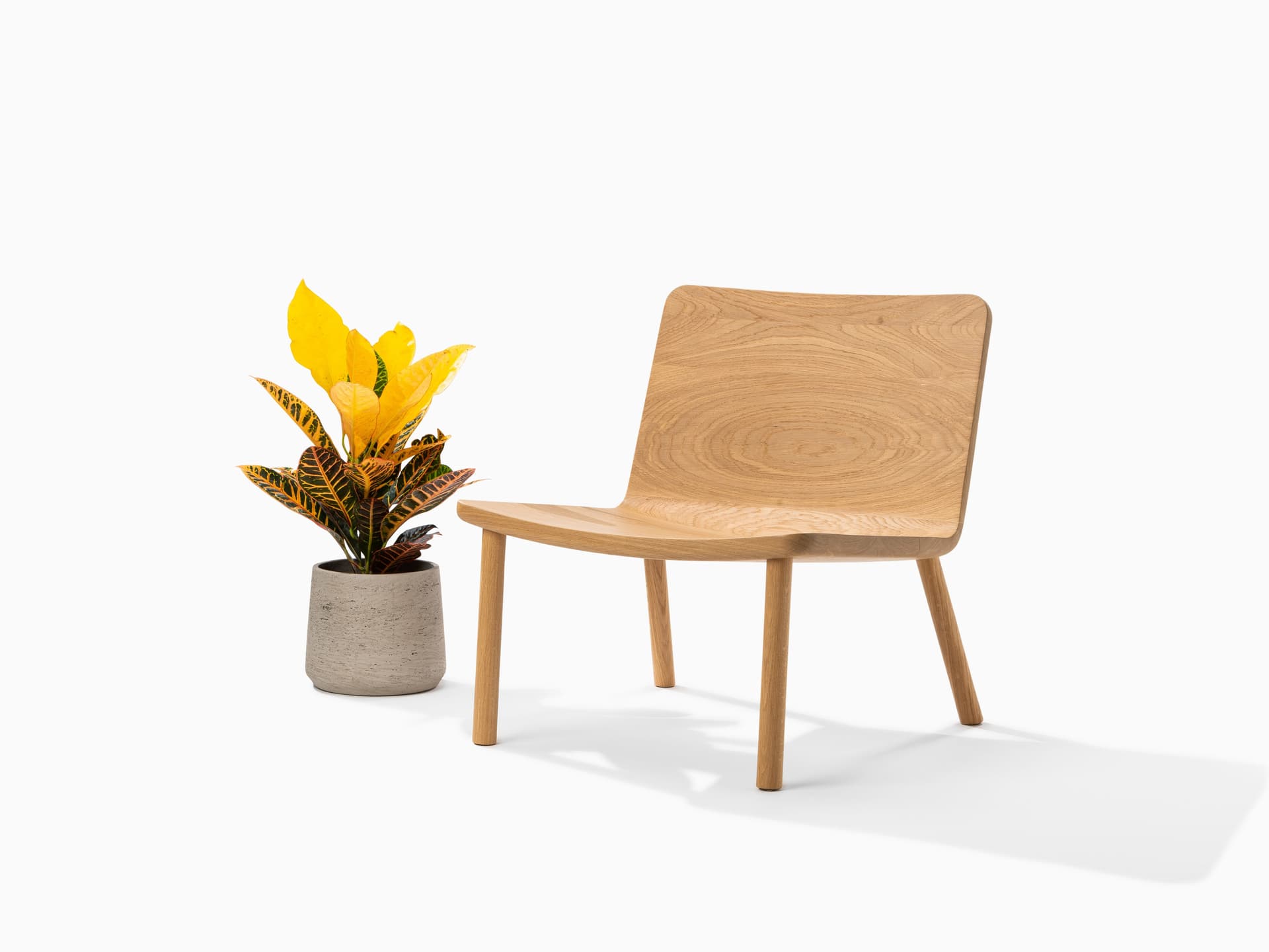MOR
ALLAY
Oak easy chair — 4