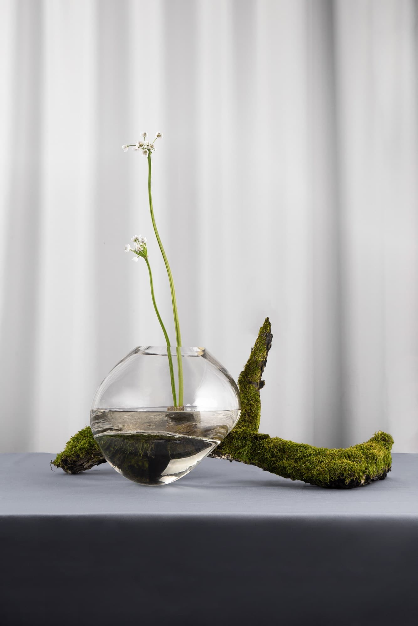 NOOM
GUTTA CS1
Blown glass vase — 5