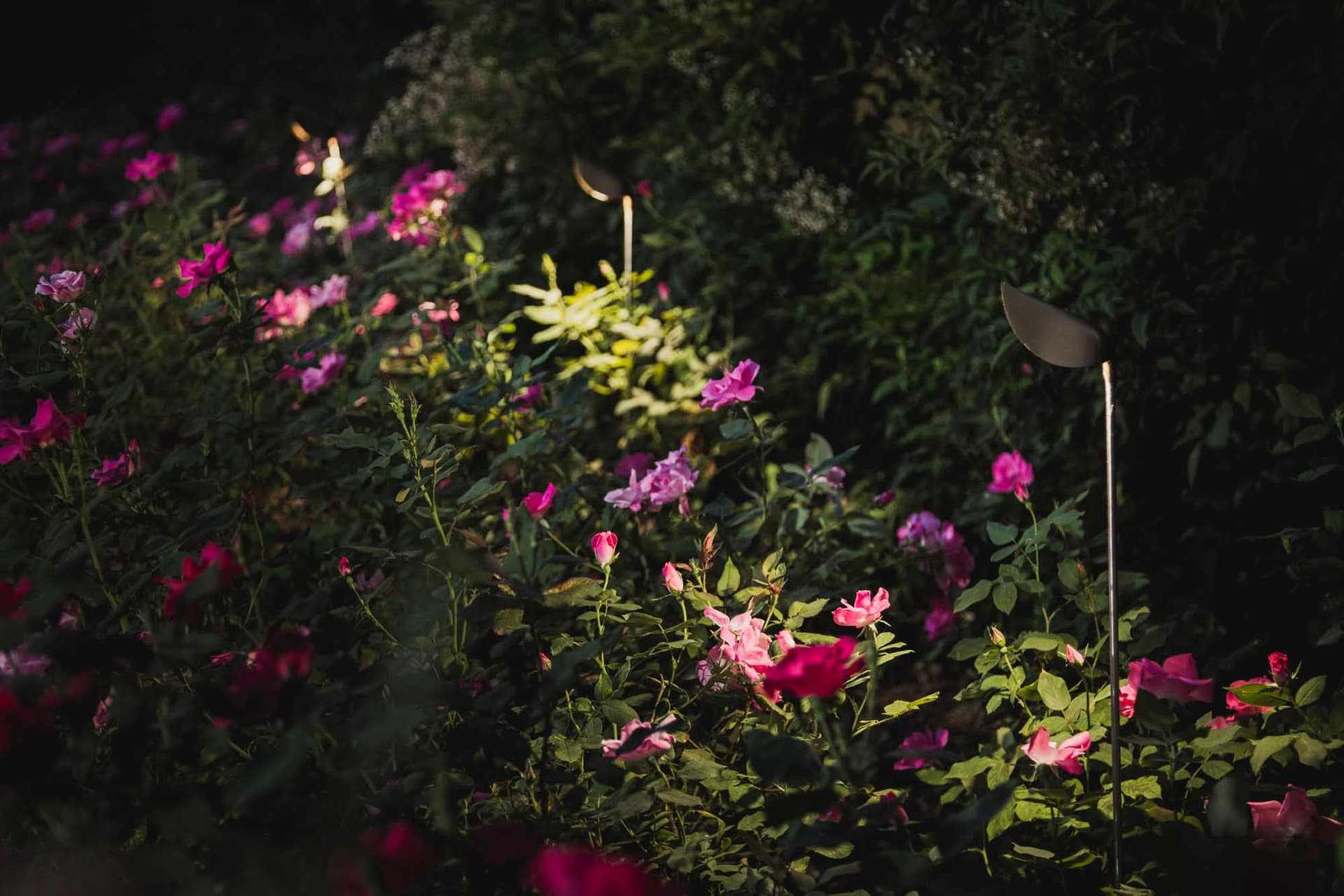 Olev
ZOELLA
LED outdoor lamp — 4