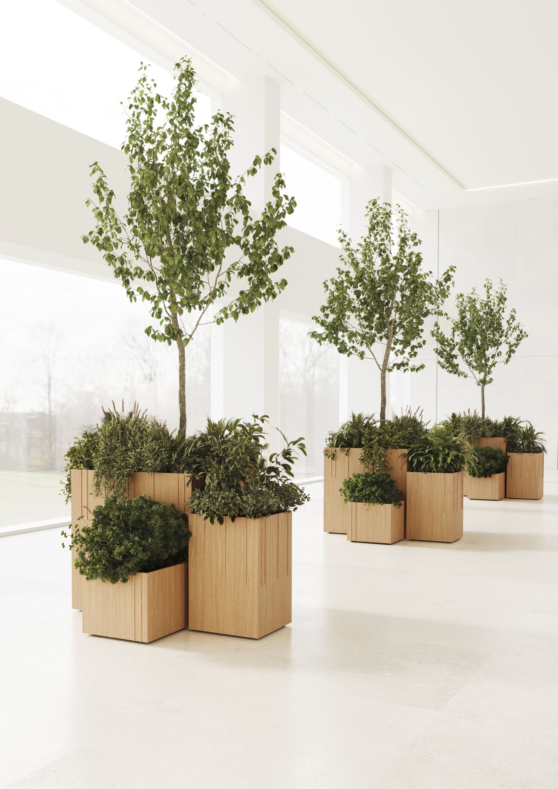 Punt
COVERAGE
Oak plant pot — 13
