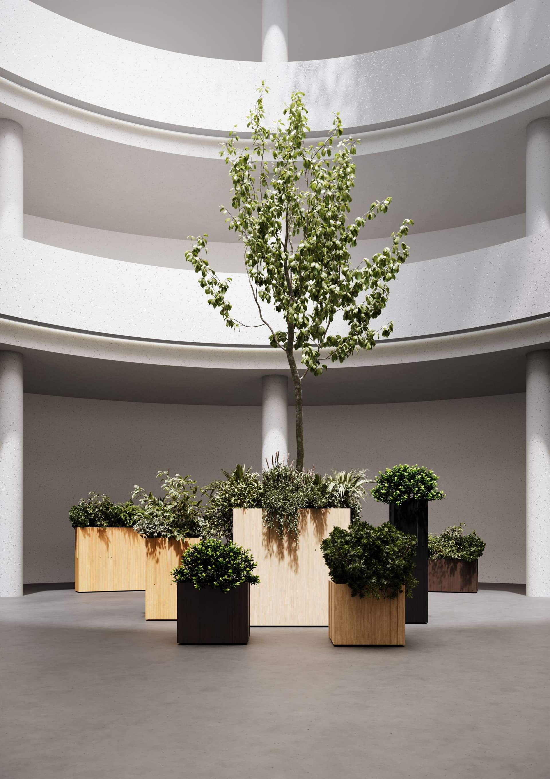 Punt
COVERAGE
Oak plant pot — 20