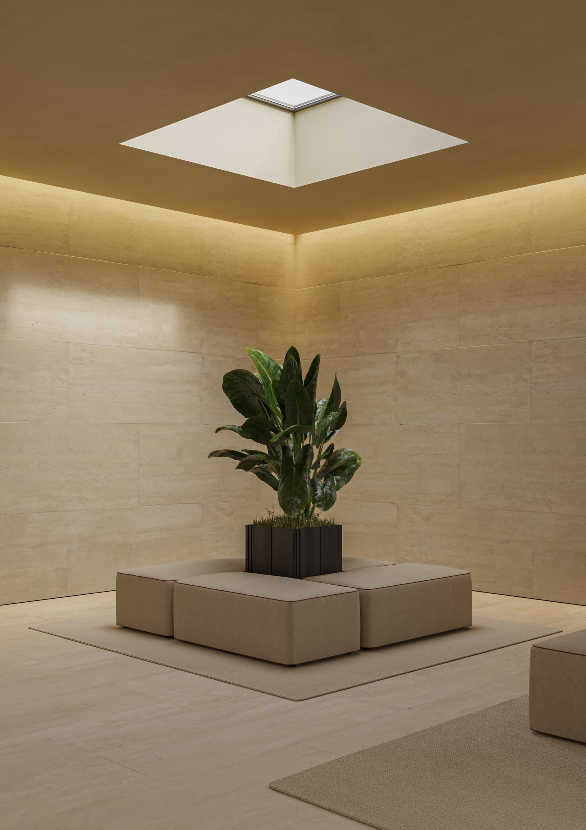 Punt
COVERAGE
Oak plant pot — 36