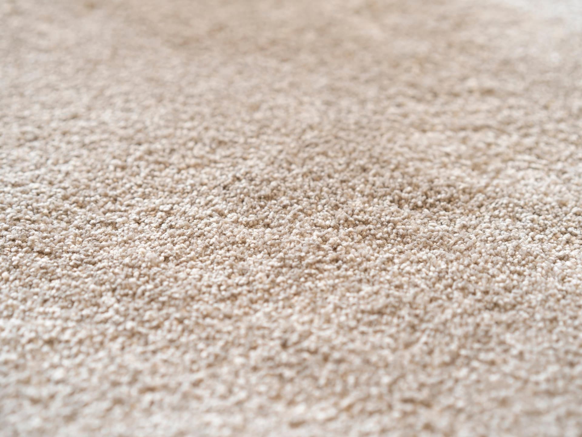 Radici
DEA
Nylon® carpeting — 3