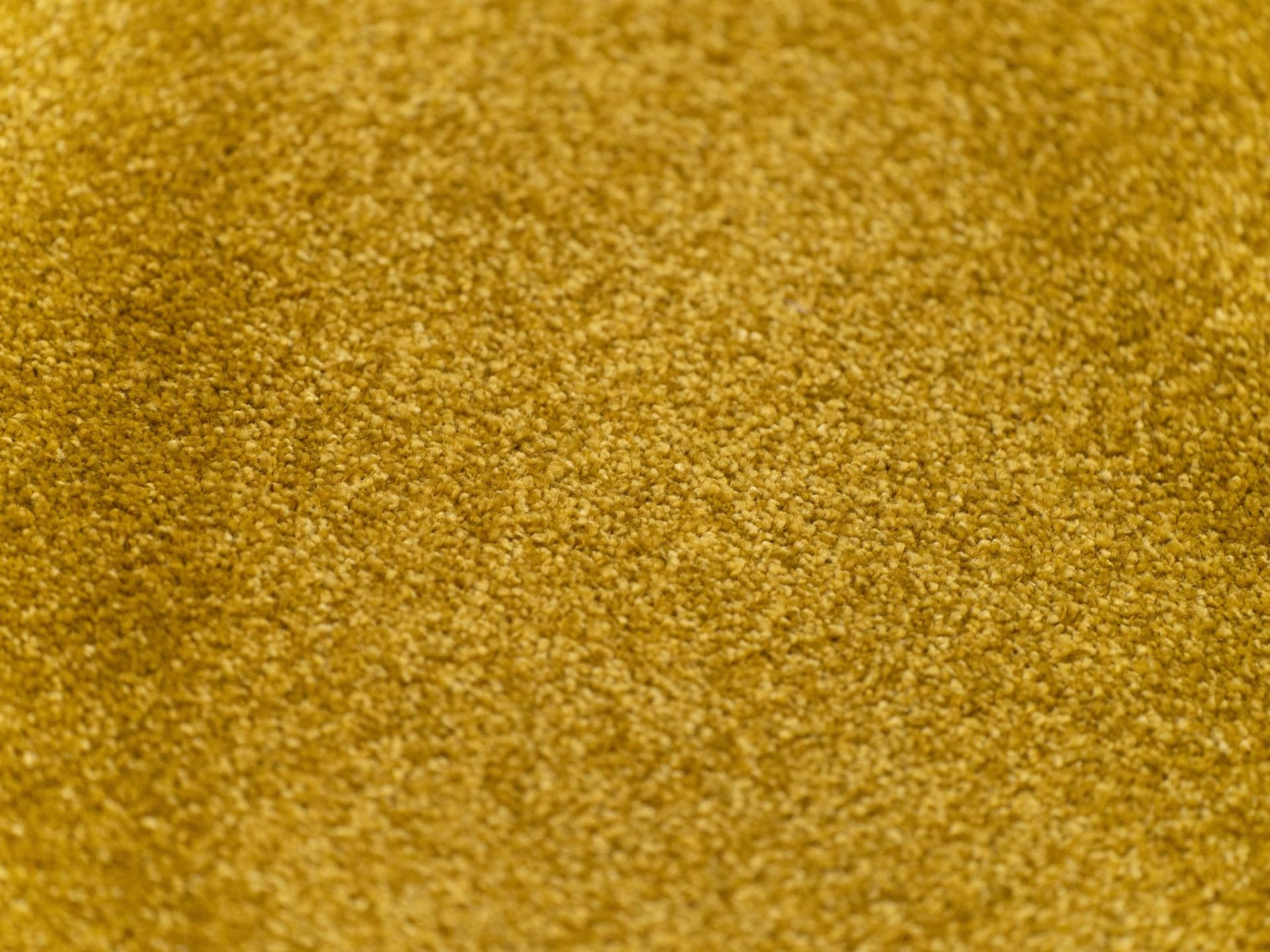 Radici
DEA
Nylon® carpeting — 6