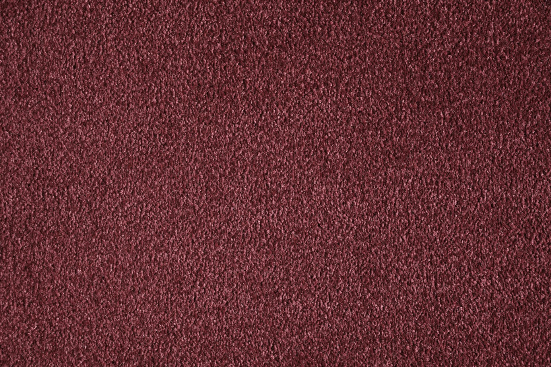 Radici
DIVINA
Nylon® carpeting — 16
