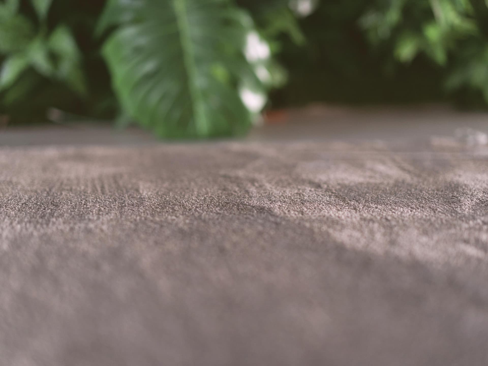 Radici
DIVINA
Nylon® carpeting — 4