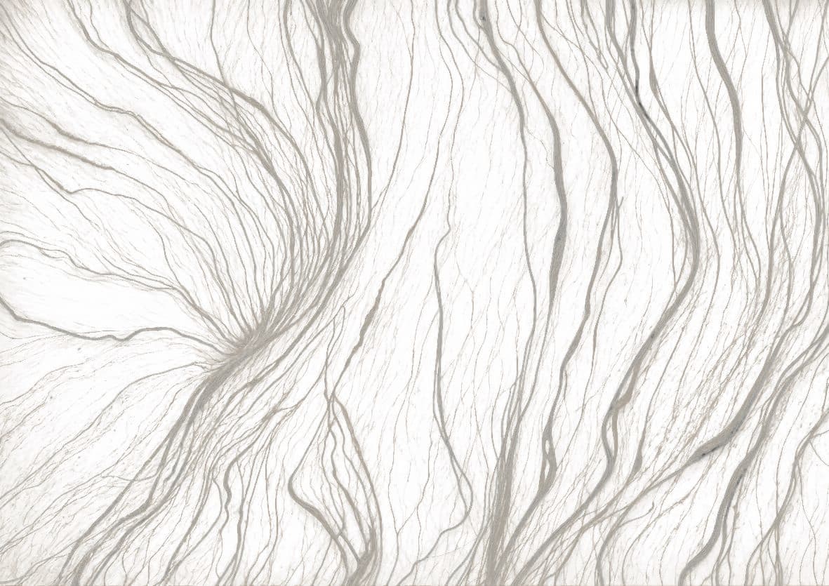 Spaghetti Wall
LINFA
Wallpaper — 4